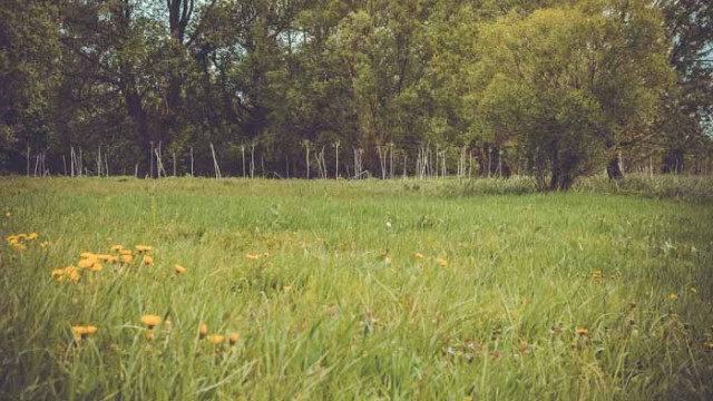 Хороскоп за 22 август 2020 г.