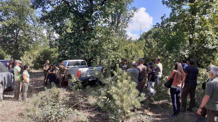 Природосъобразно отглеждане на горите в Странджа