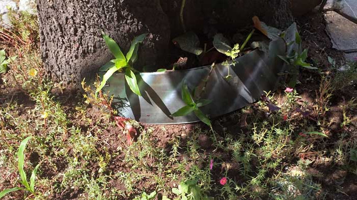 Търговци облагородиха част от улица „д-р Пискюлиев“ във Варна