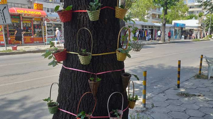 Търговци облагородиха част от улица „д-р Пискюлиев“ във Варна