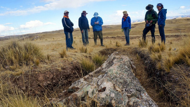 Учени откриха гора, погребана от вулкан преди десет милиона години
