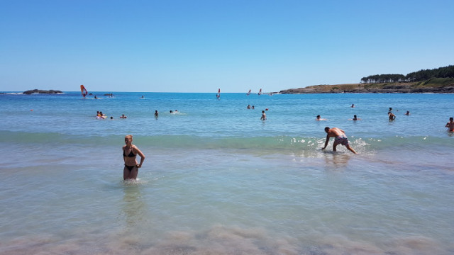 Граждани се оплакват от водни змии във Варненския залив