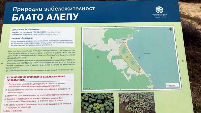 Експерт: Без документите е трудно да се каже дали изграденото на Алепу е част от укрепване на брега
