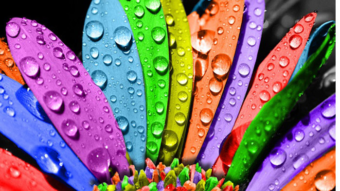 Цветовете за дните на седмицата от 08 до 14 юни