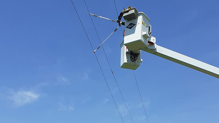 ЕРП Север приключи проект по обезопасяване на електропроводи в община Тутракан