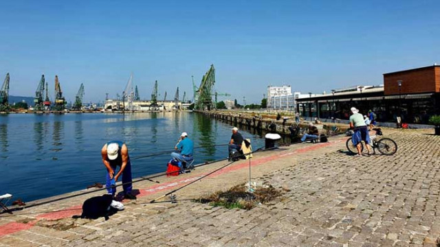 Рибарите на Морска гара: Това, че водата е мръсна, е пусканица. Рибата е чиста (СНИМКИ и ВИДЕО)