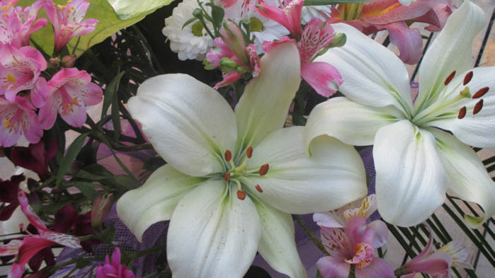 Подготвят един по - различен празник на район "Приморски"