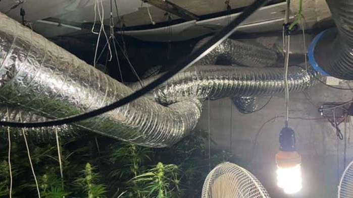 Разбиха две наркооранжерии при спецакция във Врачанско (ВИДЕО)