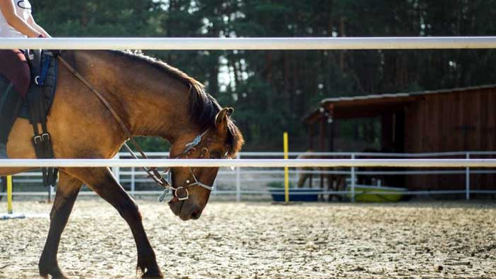 Прокуратурата разследва инцидент с паднало от кон дете на хиподрума в Шумен