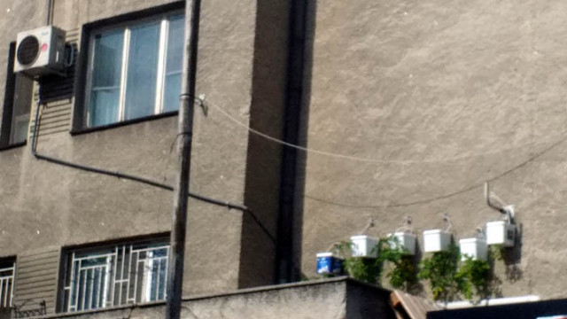 Висящи домати никнат по блоковете във Варна