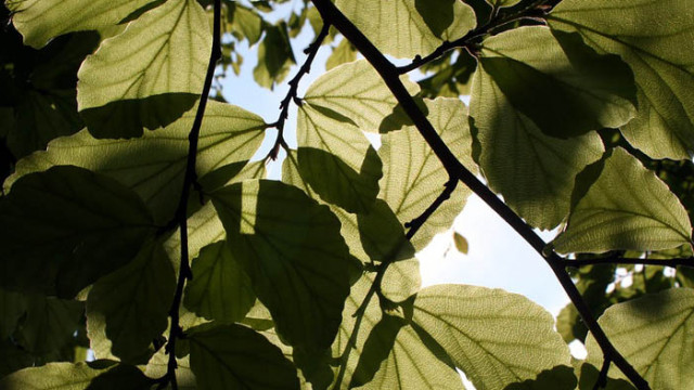 Слънчев календар – вторник, 16 юни 2020 г.