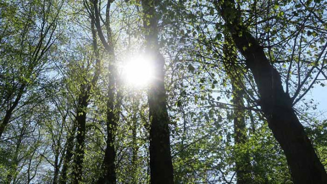 Слънчев календар – четвъртък, 18 юни 2020 г.