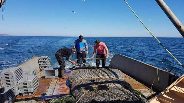 Фотоизложба „Навътре: Среща отблизо с Черноморския риболов“, откриват във Варна на 27 юни