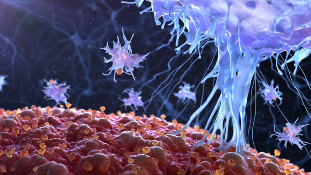 Учени: Може никога да не развиете антитела след COVID-19