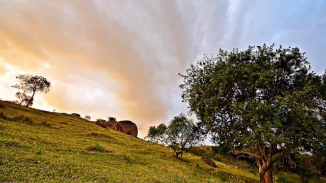 Слънчев календар – неделя, 21 юни 2020 г.