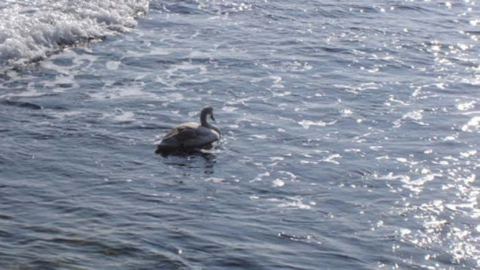 Слънчев календар – вторник, 23 юни 2020 г.