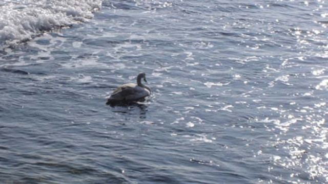 Слънчев календар – вторник, 23 юни 2020 г.