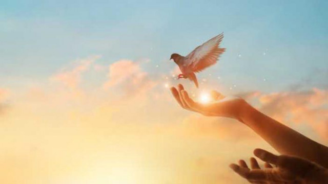 В нещастието няма друго лекарство освен надеждата: 20 цитата за трудни моменти