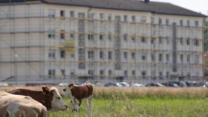 COVID-19 осветли злоупотребите в месната промишленост в Германия