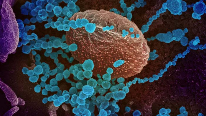 Децата с коронавирус прекарват болестта по-леко