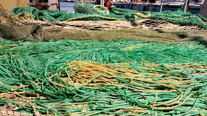 Животът навътре. Среща отблизо с Черноморския риболов (СНИМКИ)