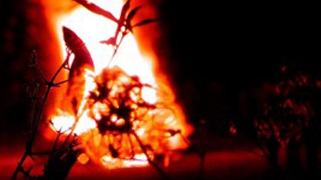 Големи пожари бушуват в Сибир, засегнати са 1,15 милиона хектара