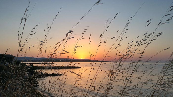 Хороскоп за 1 юли 2020 г.