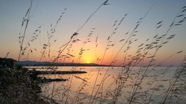 Хороскоп за 1 юли 2020 г.