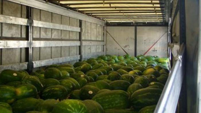 Пореден случай на заловени мигранти в камион с дини от началото на юни