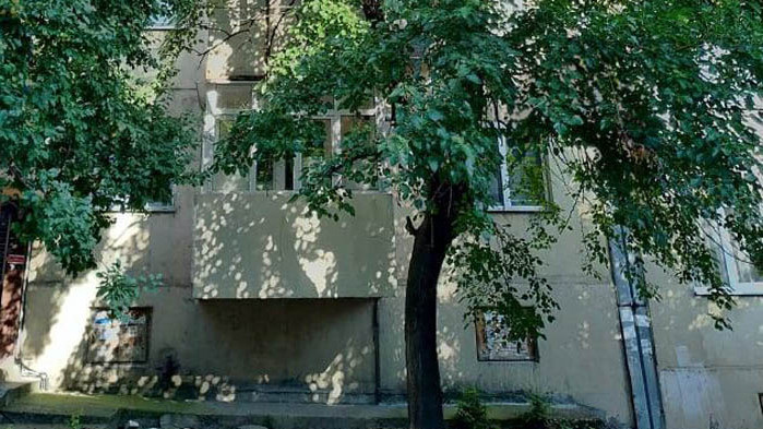 Отрязаха дърво без разрешително и посолиха дънера му (Обновена ) (СНИМКИ+ВИДЕО)