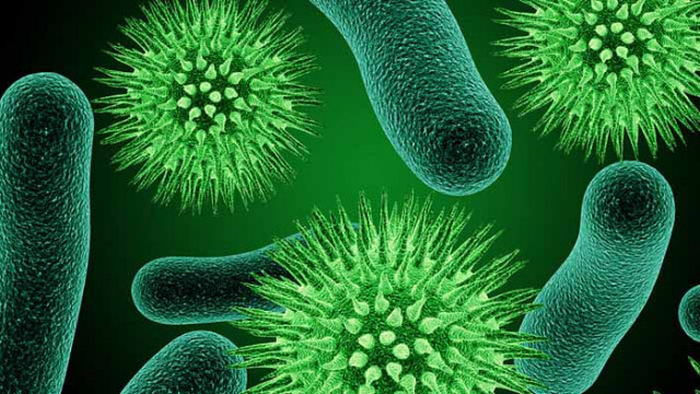 СЗО: Засега COVID-19 няма мутация, която да го прави по-силен