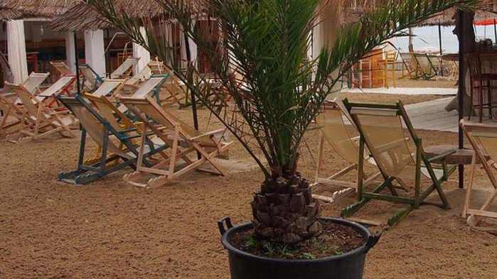 Полицията проверява заведенията по крайбрежната алея във Варна