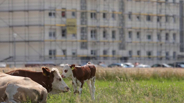 Българка колабирала в кланиците „Тьонис“