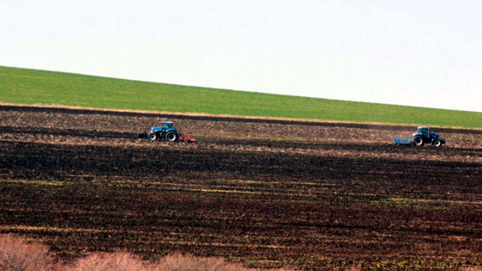 Във Варненско най-скъпа е земята в землището на Вълчи дол