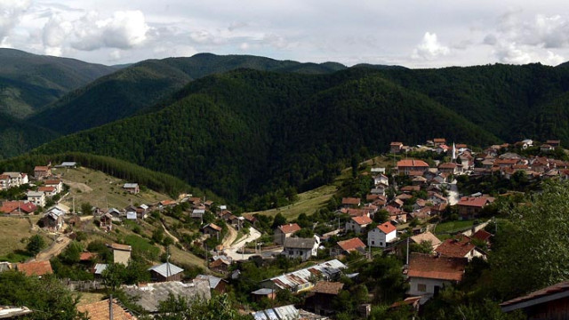 Горски инспектори на РДГ Пазарджик откриха труп на мечка в землището на с. Грашево