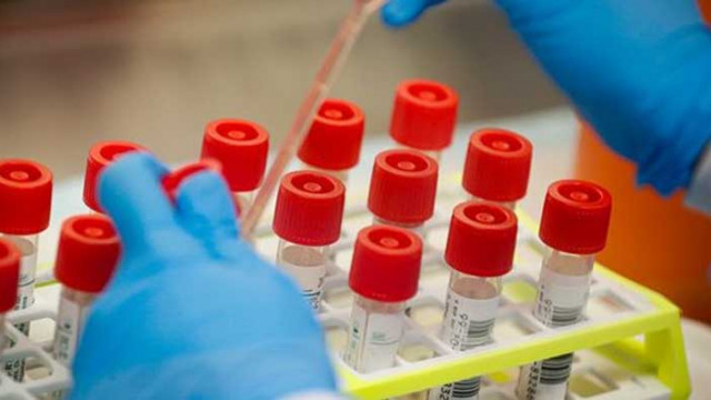 На крачка от рекорда: 267 нови случая на COVID-19 у нас, Варна с 36