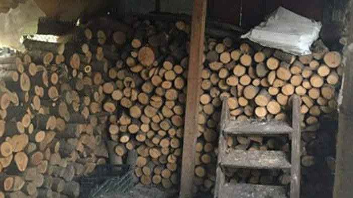 Хванаха крадци, друсани зад волана и издирвани при спецакция в Павликени