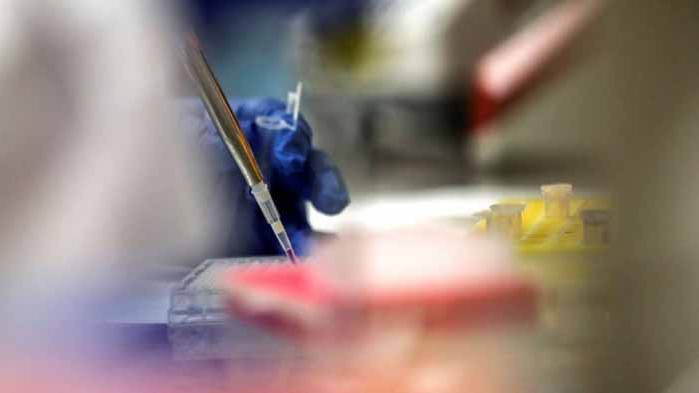 СЗО: До средата на 2021 г. е възможно да има ваксина срещу коронавируса