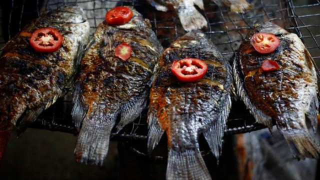 Консумацията на риба защитава мозъка от мръсния въздух