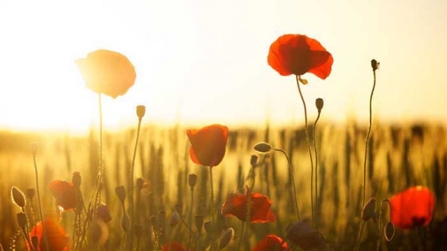 Дневен хороскоп за 22 юли 2020 г.