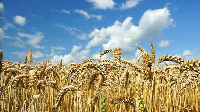 Хороскоп за 23 юли 2020 г.