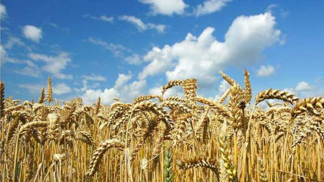 Хороскоп за 23 юли 2020 г.