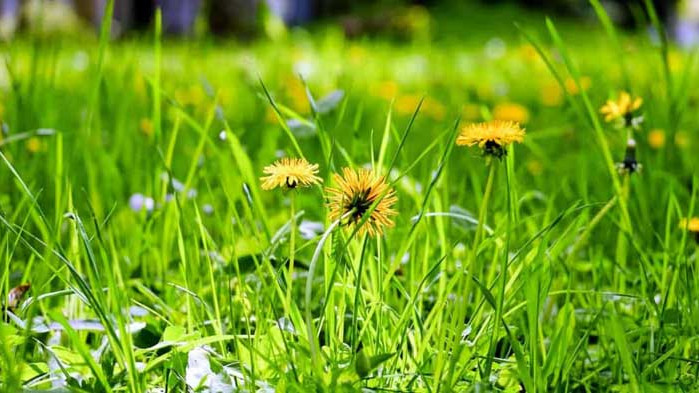 Хороскоп за 25 юли 2020 г.