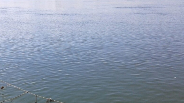 Силно замърсяване в язовир „Съединение”