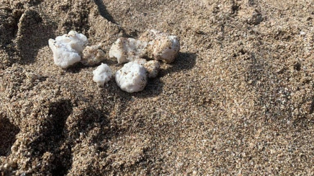 Мазни бели топчета изплуваха на още няколко плажа у нас