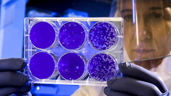 Варна с антирекорд - 61 нови случая на COVID-19, общо за страната са 119