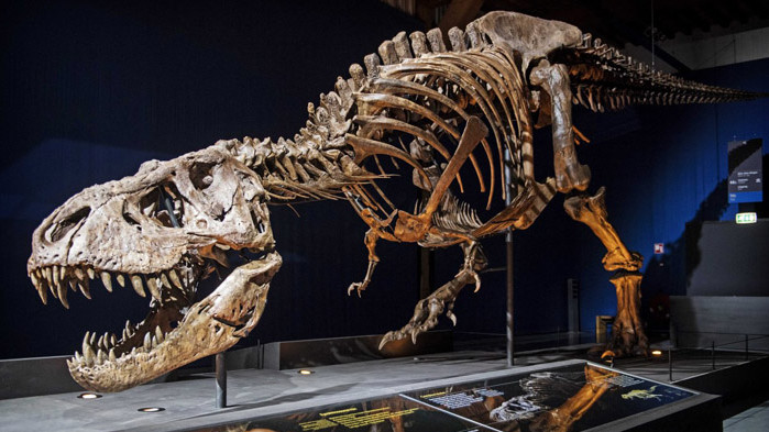 И динозаврите страдали от рак