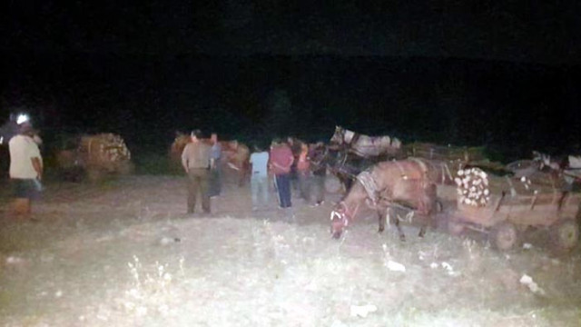 Горски служители заловиха девет лица при транспортиране на незаконна дървесина