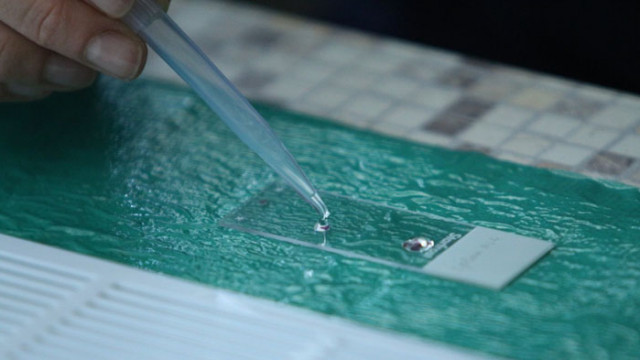 Изкуствен интелект диагностицира COVID-19 с точност 90%