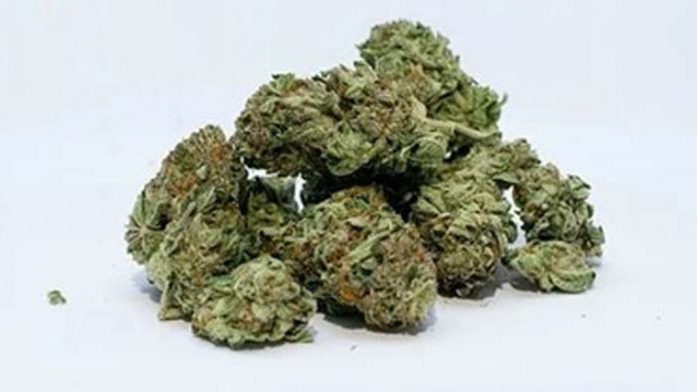 Задържаха 30-годишен софиянец с над половин килограм марихуана